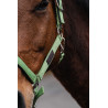 Cabezada de nailon Spring Equithème - Verde claro