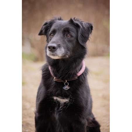 Collar para perro Penelope Billie