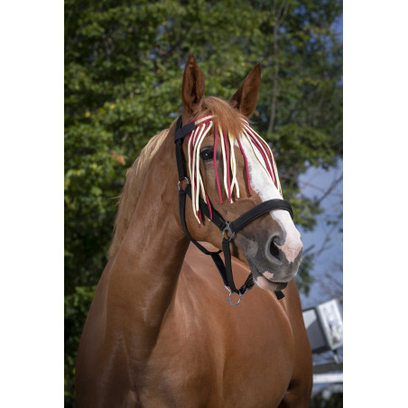 Frontalera mosquero Norton