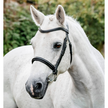 Brida pony Horseware Cavesón