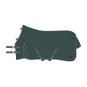 Manta de paddock Imperial Riding Basic sin cubrecuello 200 g - Verde