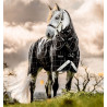 Manta Horseware Rhino Turnout Pony Bundle con forro de 0 g y 200 g - Cuadros negros / negro y blanco