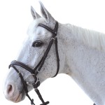 Brida Canter ORNELLA