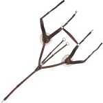 Pechopetral Canter 5 puntos