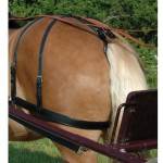 Correa cuarto trasero Chetak