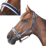 Cabezada de cuadra CHETAK