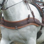 Pechopetral Anatómico Eric Le Tixerant