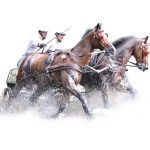 Arnés marathon anatómico modelo doble Eric Le Tixerant