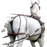 Correa Marathon cuarto trasero Eric Le Tixerant