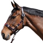 Licol Flags & Copa Chukka