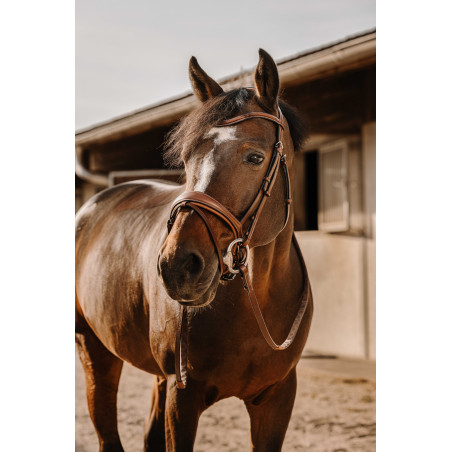 Cabezada de montar ERIC THOMAS Visby