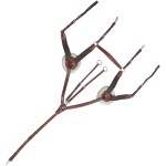 Pechopetral 5 puntos Lexington