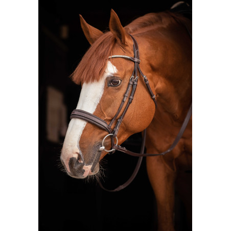 Cabezada de montar PENELOPE - Daily Strass