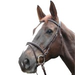 Cabezada Privilege Equitation Biarritz