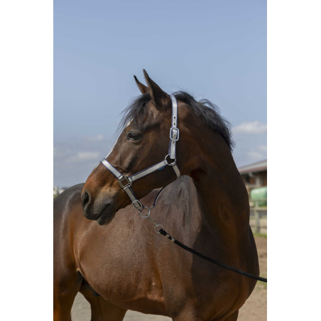 Cabezada Norton Nylon Suave