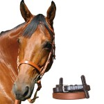 Cabezada de entrenamiento Chetak