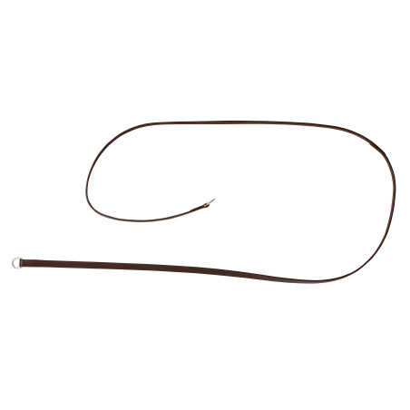 Riendas de gogue cuero Riding World