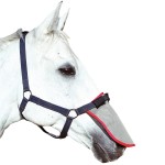 Protector solar nariz Equilibrium