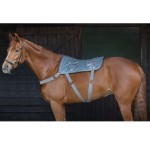 Massage mat Equilibrium