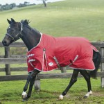 Manta Weatherbeeta ComFiTec Classic 220 g