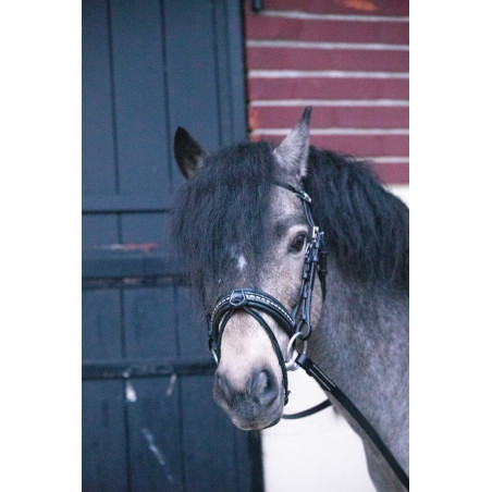 Cabezada Pénélope Eden