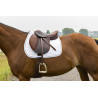Tapijt Riding World Girly - Burdeos