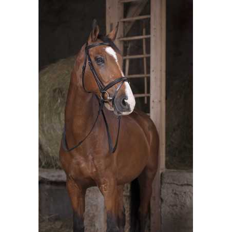 Riendas de goma Norton Pro