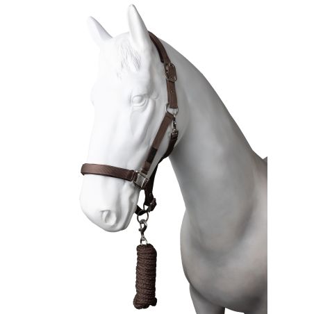 Cabezada y ramal Horze Lucca