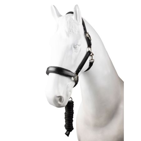Cabezada de cuero con ramal conjunto Horze Dynasty