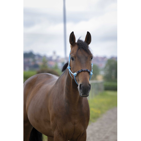 Cabezada etológica Norton Pearl