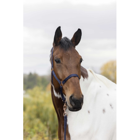 Cabezada + ramal Norton Roségold