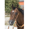 Cabezada de montar Westride by Franck Perret 1 oreille - Avellana