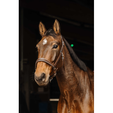 Cabezada de cuero Norton Rock