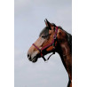Cabezada Riding World Cushion - Roja