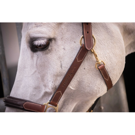 Cabezada de cuero con 3 mosquetones – PADDOCK