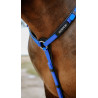 Collier de chasse Endurance NORTON - Pop - Azul real