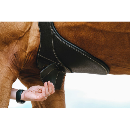 Cincha con babero Magnet Norton