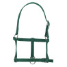 Cabezada potro Riding World - Verde oscuro
