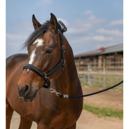Cabezada de cuadra EQUITHÈME Nylon Strass