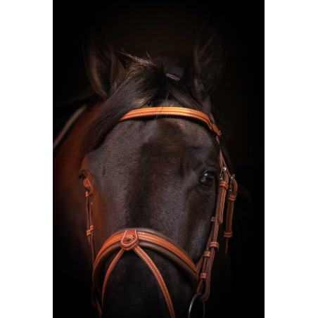 Cabezada PENELOPE Elegance