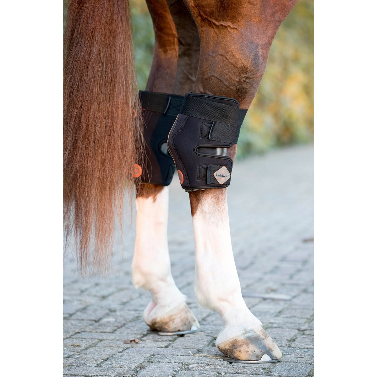 Protectores de corvejón LeMieux Conductive Magno