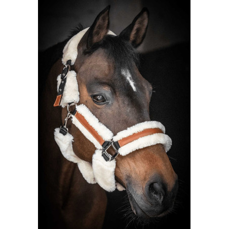 Cabezada de cuadra Pénélope Soft