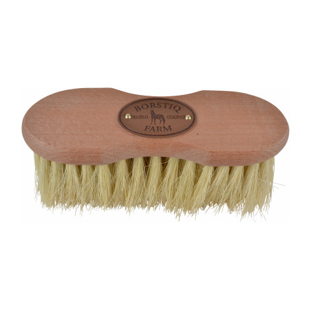 Cepillo de crin de caballo Borstiq Infini Cactus