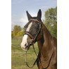 Máscara antimoscas Equi-Theme Training - Viejo modelo negro