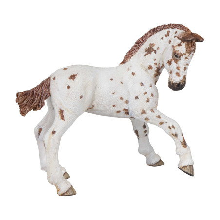 Potro Appaloosa PAPO