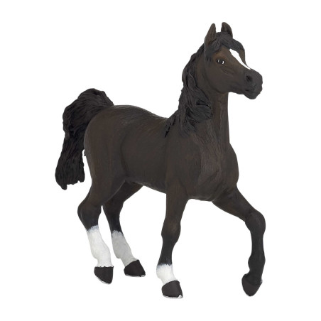 Caballo Árabe PAPO