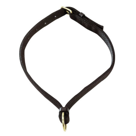 Collar para caballos Apollo