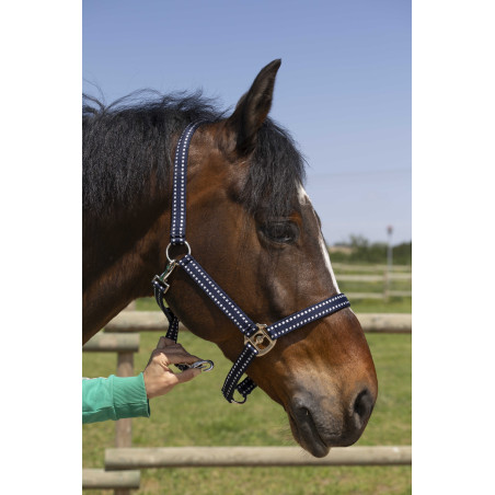 Cabezada Norton Grooming