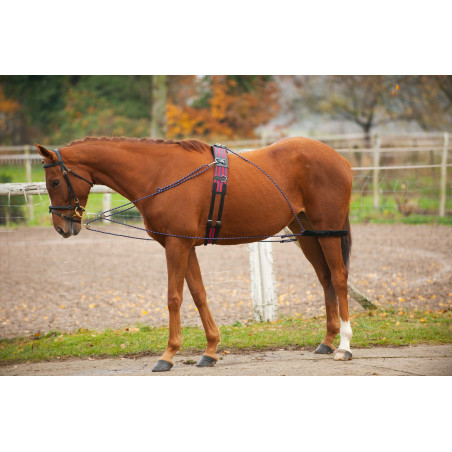 Chambón con poleas Norton