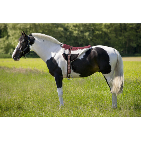 Mantilla de monta a pelo Norton